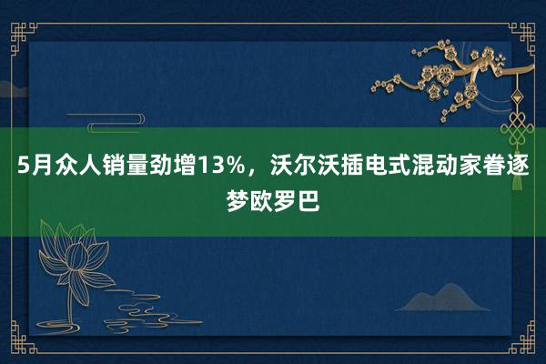 5月众人销量劲增13%，沃尔沃插电式混动家眷逐梦欧罗巴