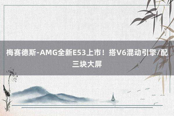 梅赛德斯-AMG全新E53上市！搭V6混动引擎/配三块大屏