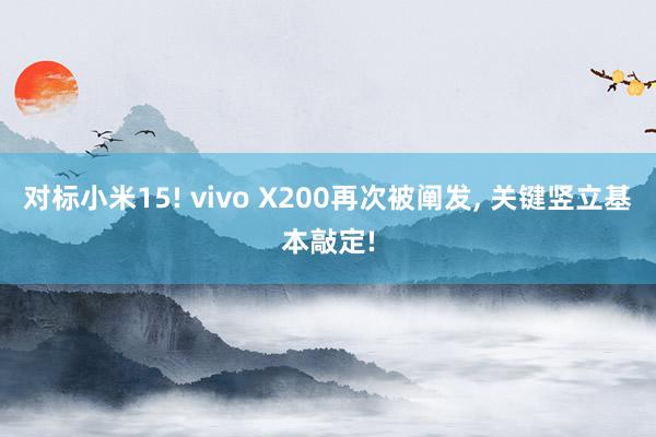 对标小米15! vivo X200再次被阐发, 关键竖立基本敲定!