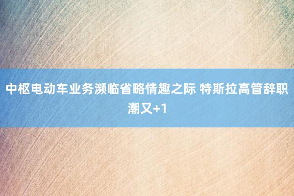 中枢电动车业务濒临省略情趣之际 特斯拉高管辞职潮又+1