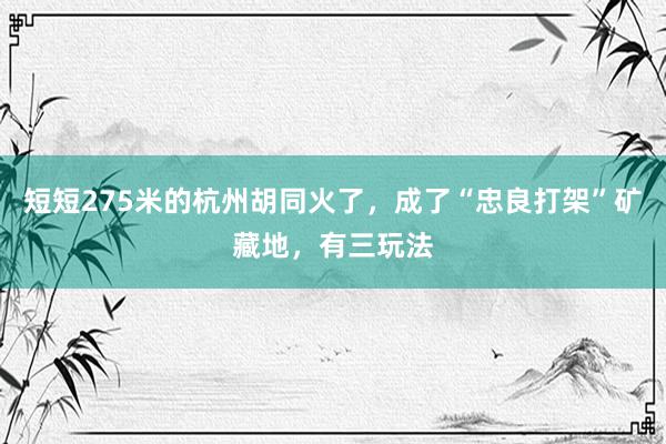 短短275米的杭州胡同火了，成了“忠良打架”矿藏地，有三玩法