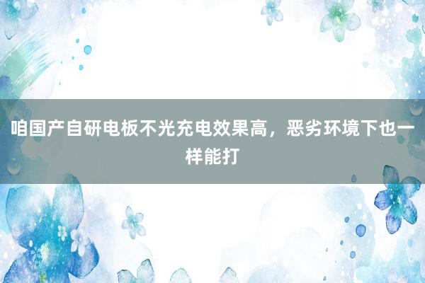 咱国产自研电板不光充电效果高，恶劣环境下也一样能打